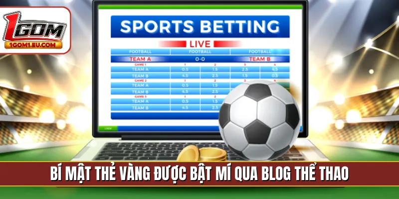 Bí mật thẻ vàng được bật mí qua blog thể thao