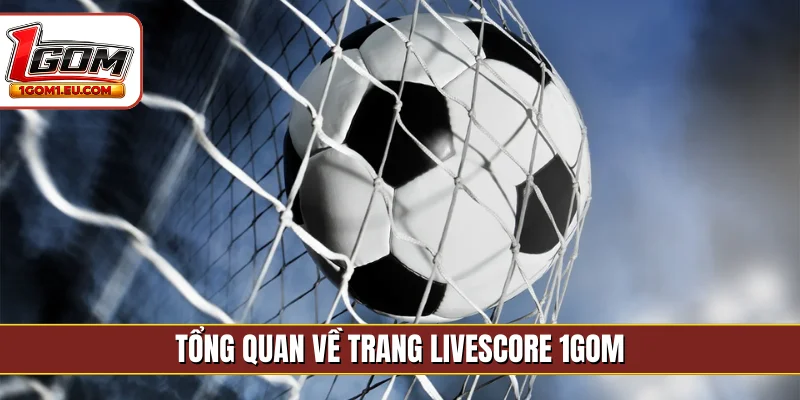 Tổng quan về trang livescore 1GOM